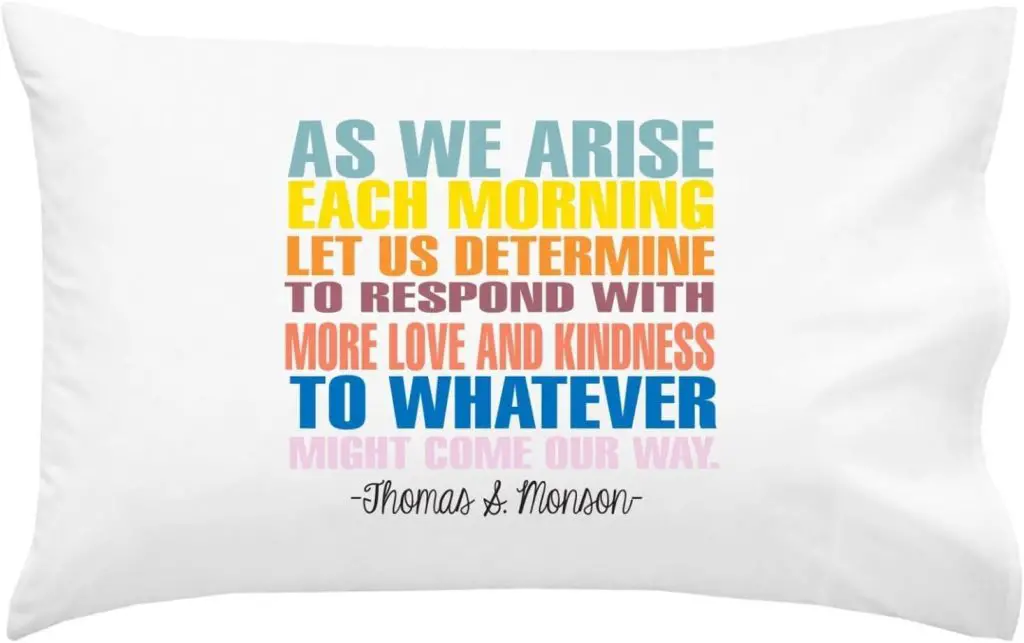 sister missionary pillow case for Elders