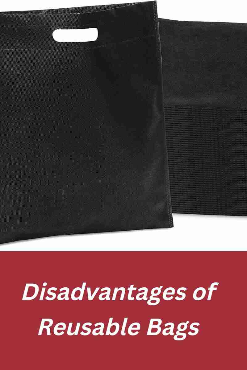 4 Disadvantages Of Tote Bags Ultimate Guide To Tote Bags 4 Disadvantages Of Tote Bags Ultimate Guide To Tote Bags