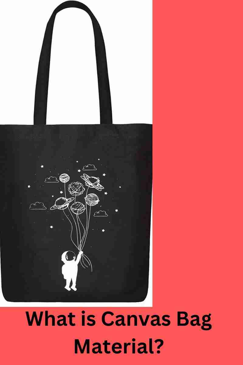 Discover 73 canvas Bag Meaning In Bengali Best In duhocakina