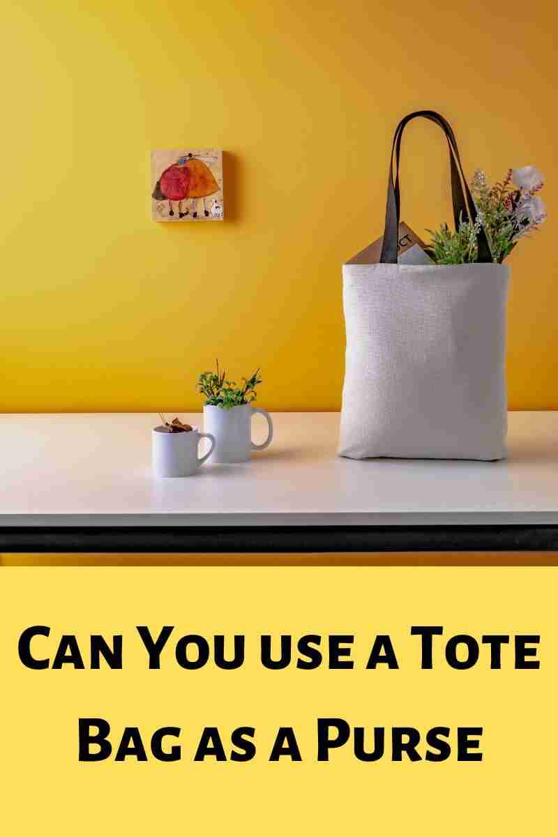 Using a Tote Bag as a Purse The Right Way and Benefits
