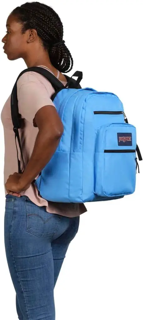 JanSport student Backpack for School and College