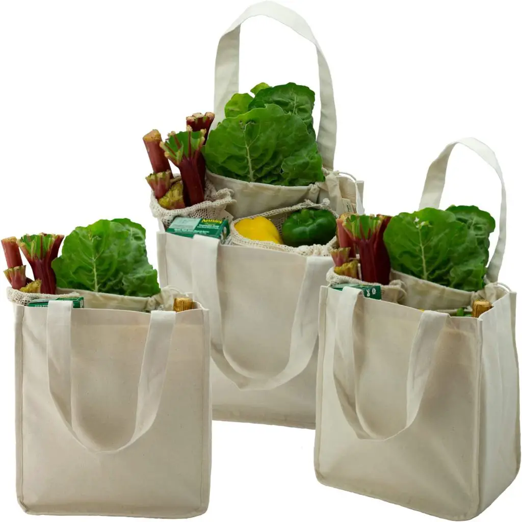 simple ecology organic cotton tote bag for grocery